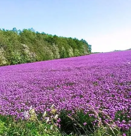 In Danmark- Agernaesgaard 아파트 Otterup
