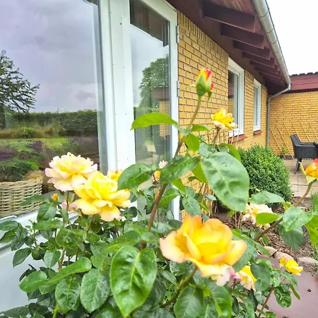 In Danmark- Agernaesgaard 아파트 *