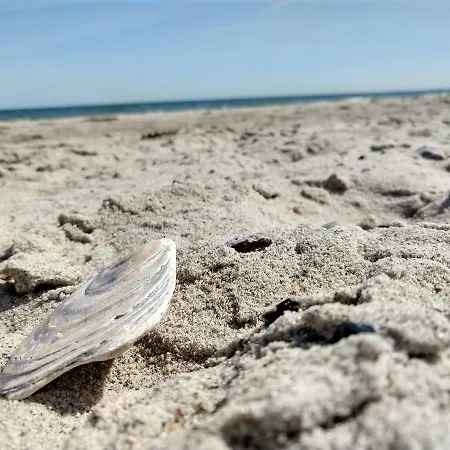 아파트 In Danmark- Agernaesgaard