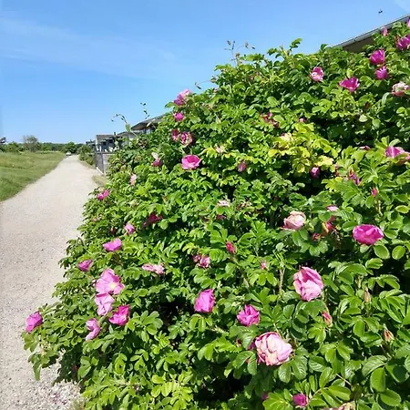 In Danmark- Agernaesgaard 아파트