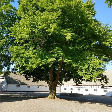 In Danmark- Agernaesgaard 아파트