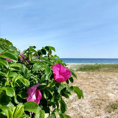 In Danmark- Agernaesgaard Apartamento Otterup